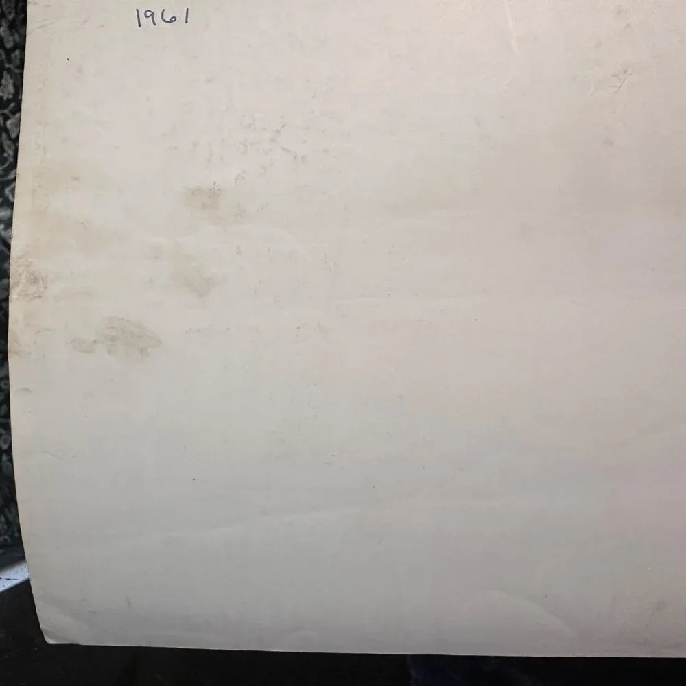 Vintage 1961 Warner Bros "Susan Slade" Movie Still Photo Featuring Connie Steven - Picture 13 of 13